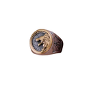 Anel Head Lobo Aço Inox