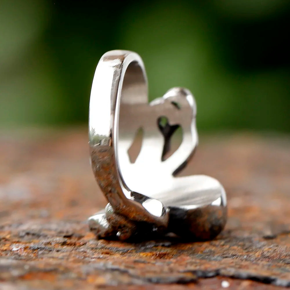 Anel Polvo Aço Inox