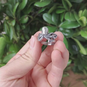 Anel Polvo Aço Inox